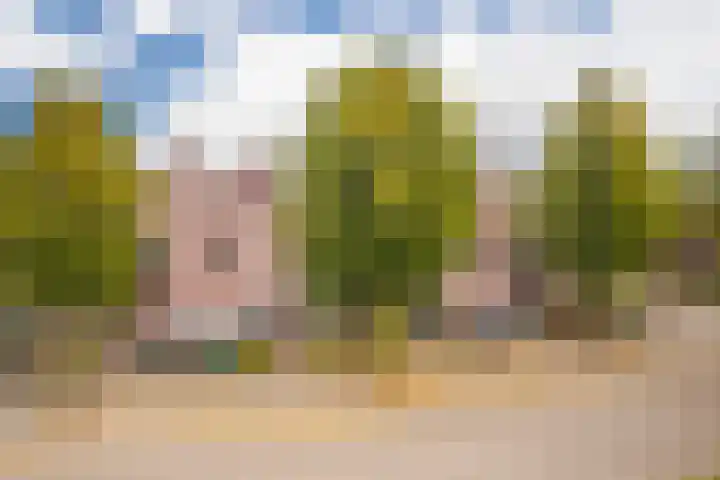 Woudrichemstraat 17 Arnhem thumbnail 21