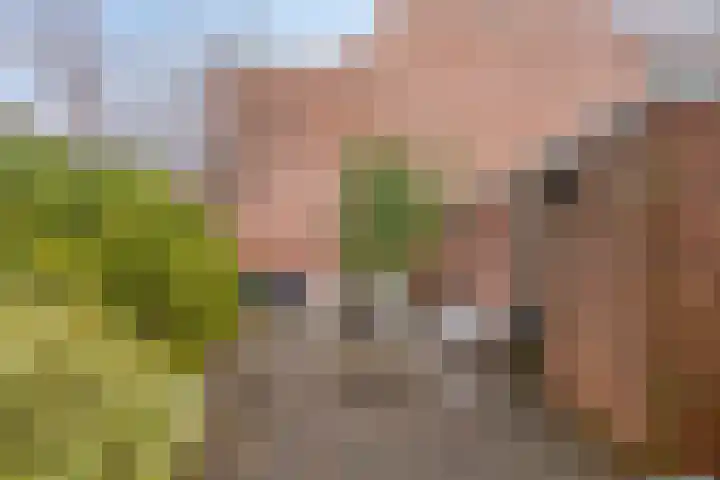 Woudrichemstraat 31 Arnhem thumbnail 22