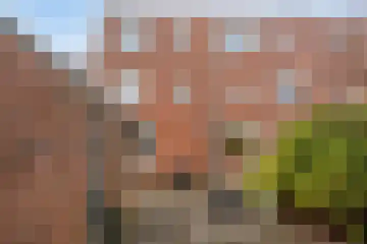Woudrichemstraat 31 Arnhem thumbnail 25