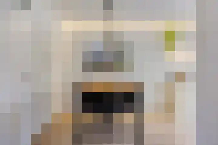 Woudrichemstraat 31 Arnhem thumbnail 8