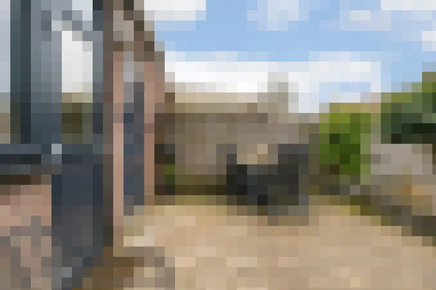 Woudrichemstraat 48 Arnhem thumbnail 32