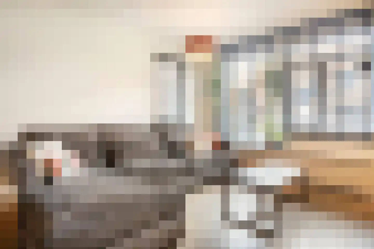 Woudrichemstraat 48 Arnhem thumbnail 4