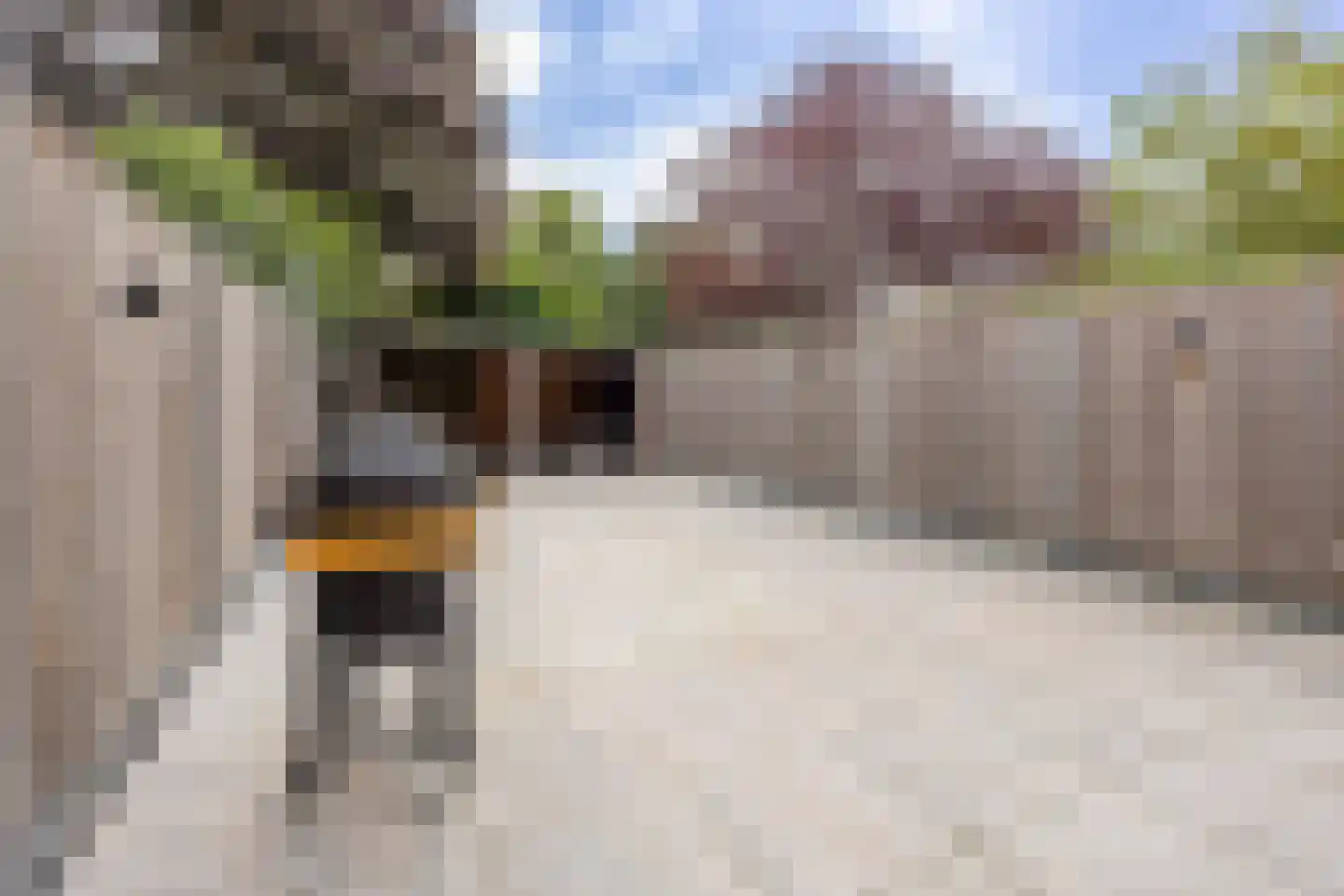 Woudrichemstraat 83 Arnhem thumbnail 31
