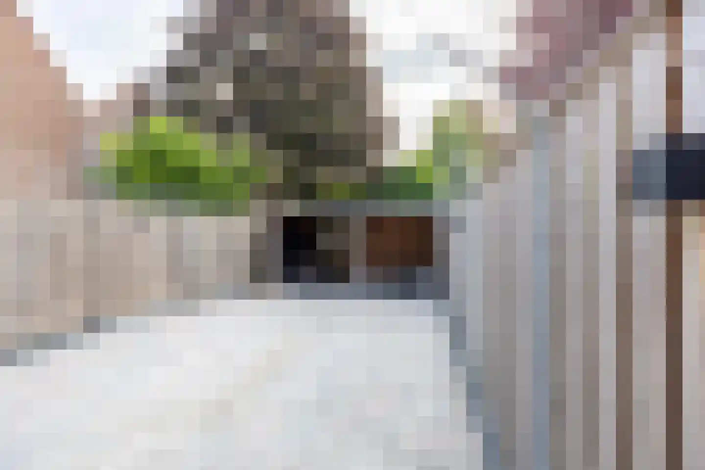 Woudrichemstraat 83 Arnhem thumbnail 32