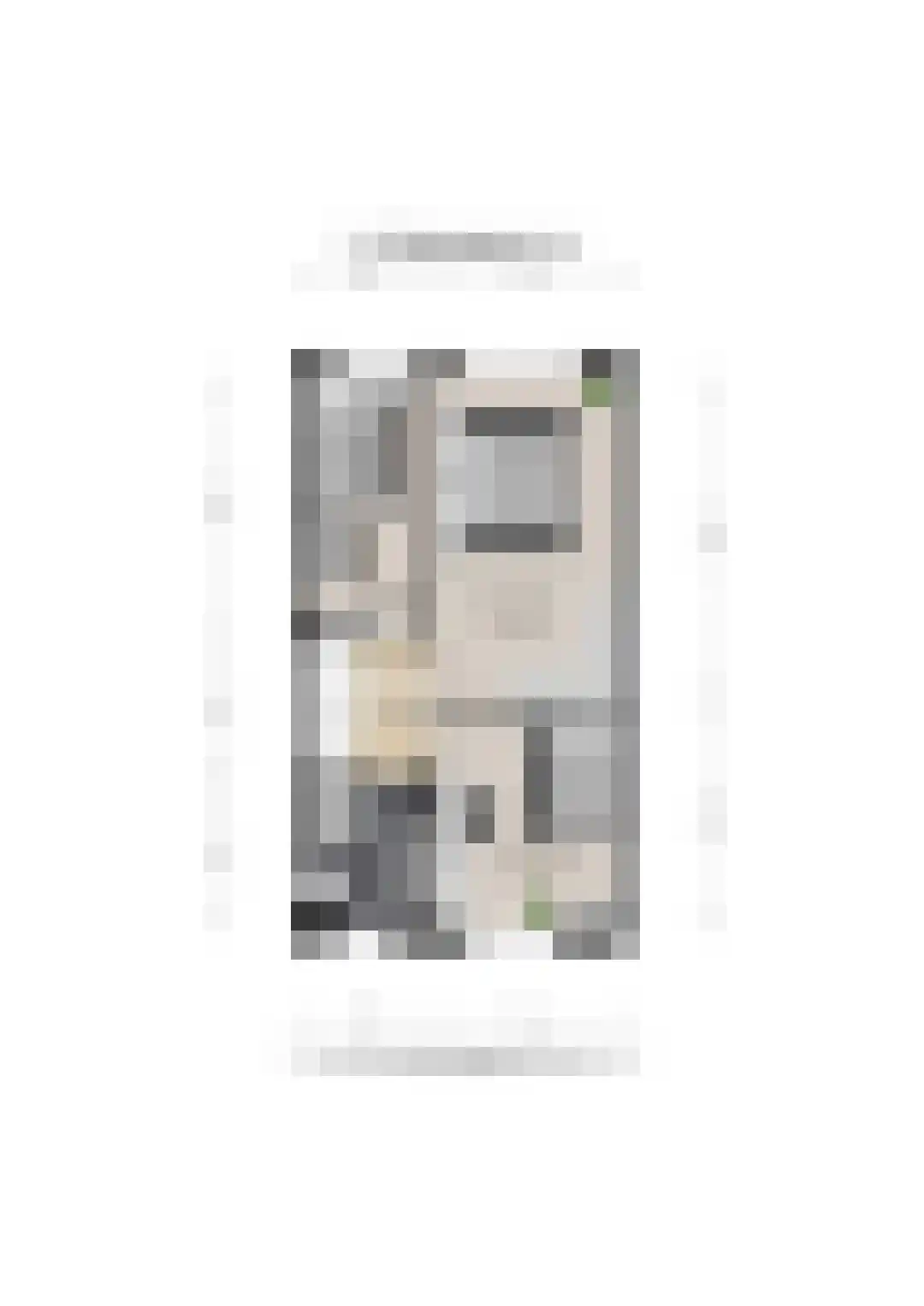 Woudrichemstraat 83 Arnhem thumbnail 38