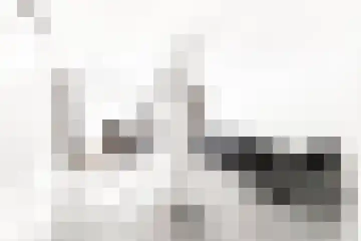 Woudriksland 23 Middelburg thumbnail 11