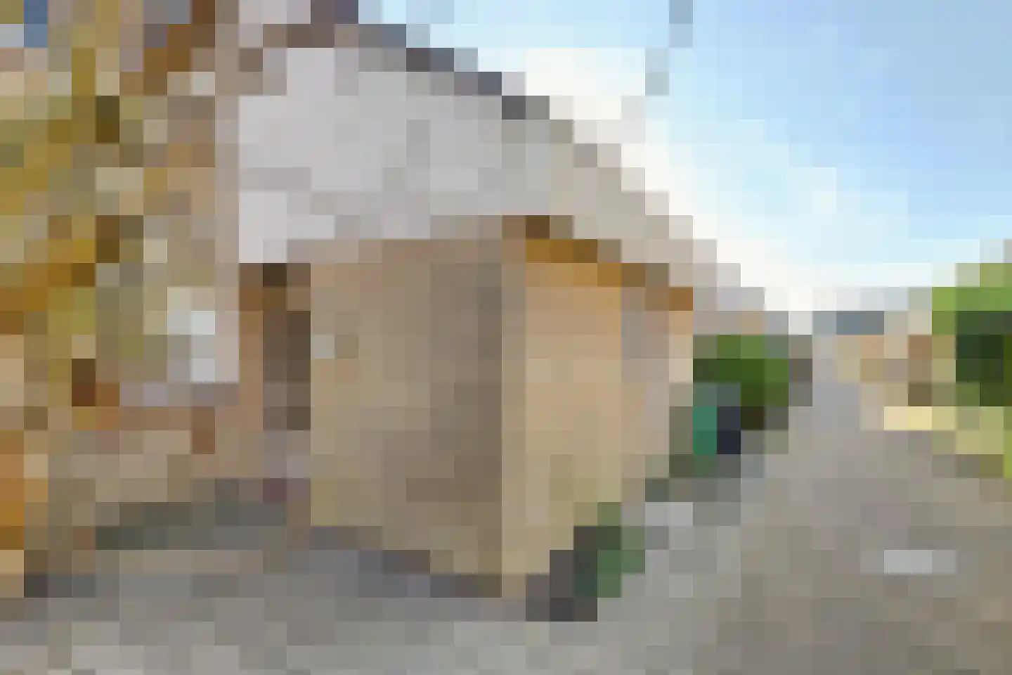 Woudriksland 9 Middelburg thumbnail 10