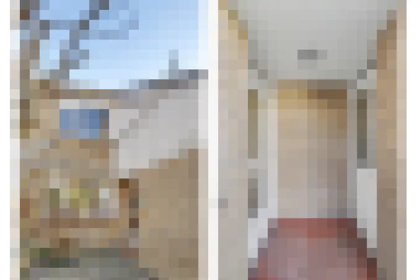 Woudriksland 9 Middelburg thumbnail 12