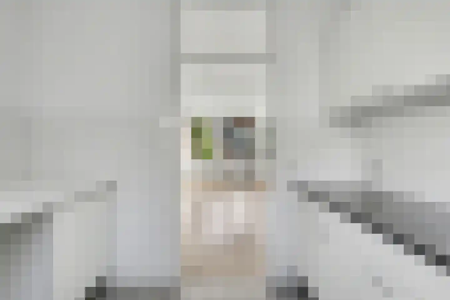 Woudriksland 9 Middelburg thumbnail 17