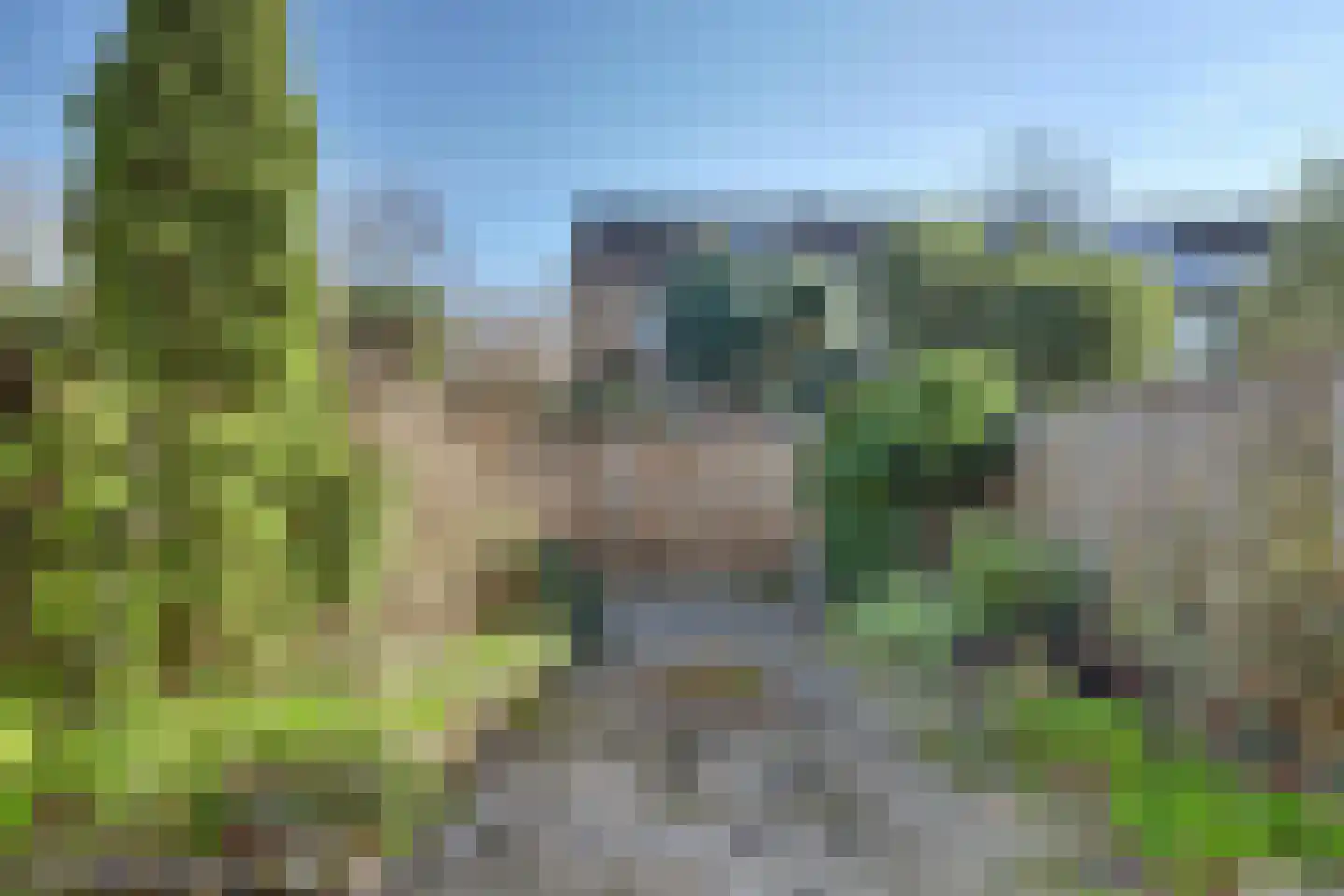 Woudriksland 9 Middelburg thumbnail 5
