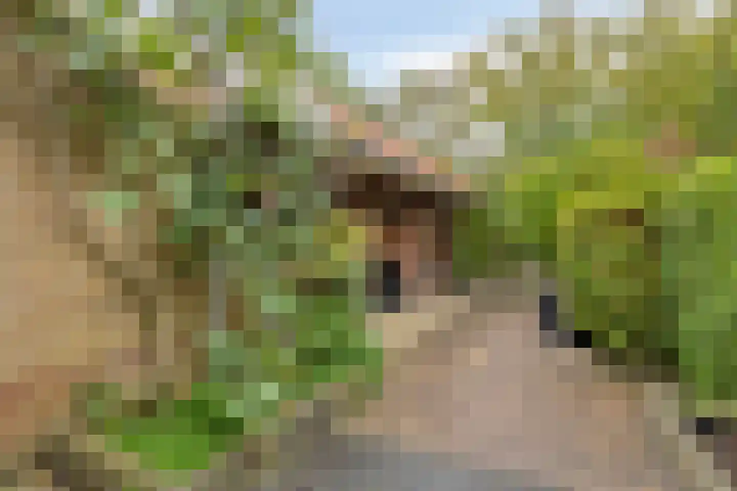 Woudrustlaan 4 Hensbroek thumbnail 33