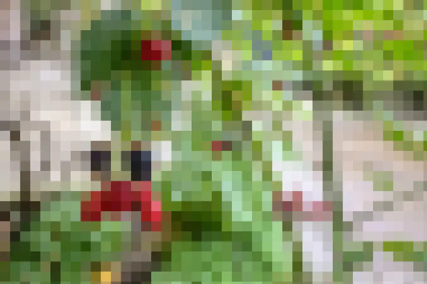 Woudrustlaan 4 Hensbroek thumbnail 36