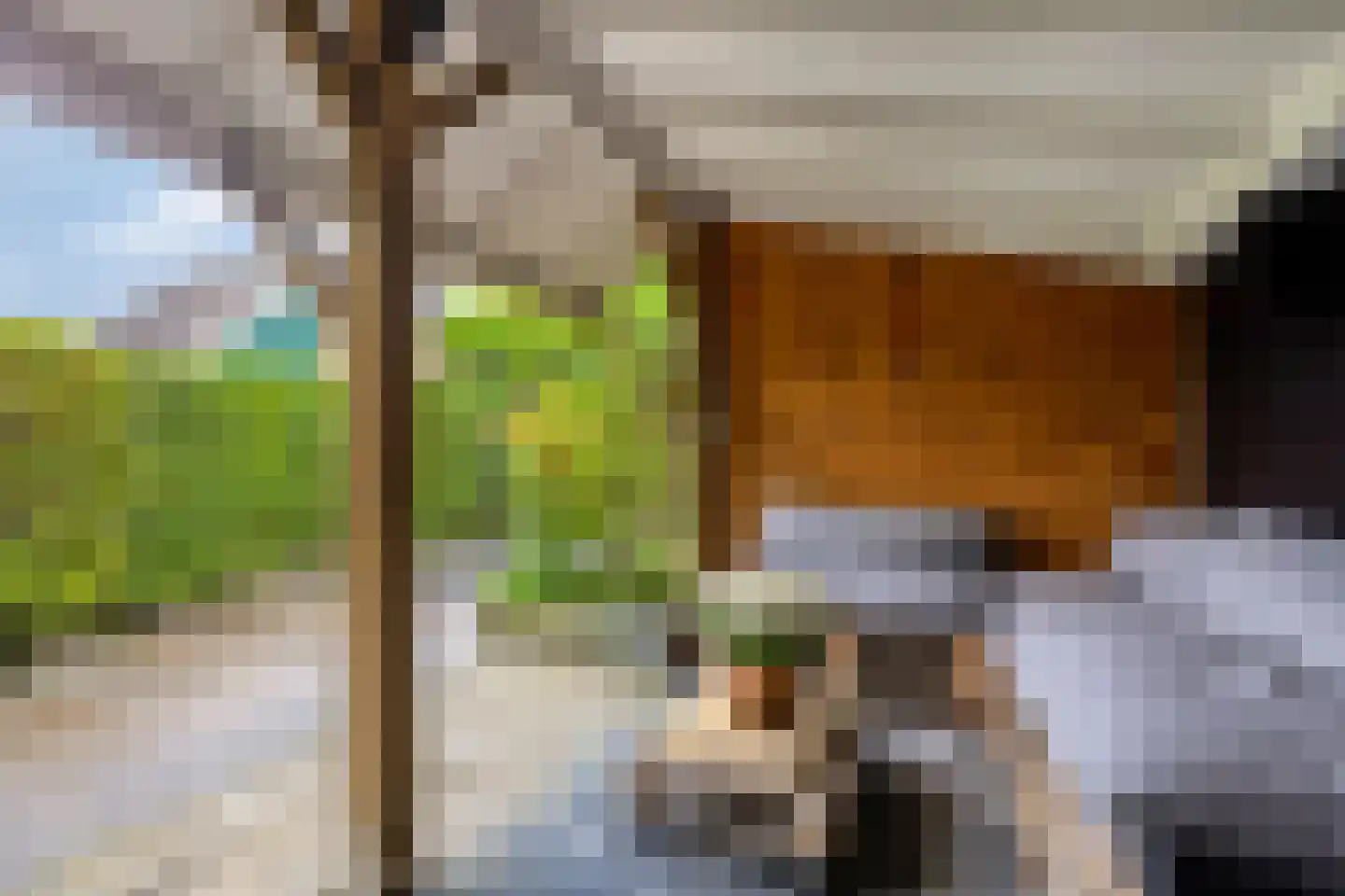 Woudrustlaan 4 Hensbroek thumbnail 5