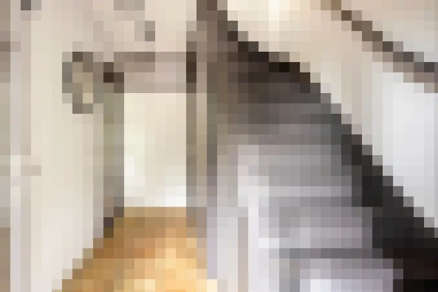Woudrustlaan 4 Hensbroek thumbnail 7