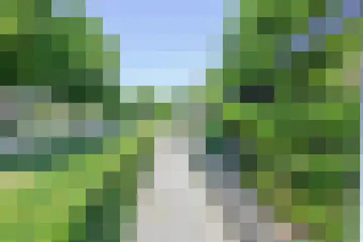 Woudrustlaan 50 Hensbroek thumbnail 35