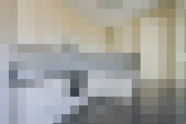 Woudrustlaan 50 Hensbroek thumbnail 7