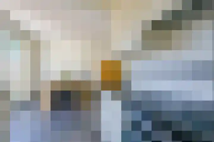 Woudrustlaan 50 Hensbroek thumbnail 8