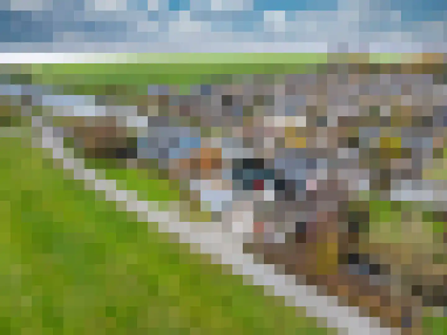 Woudsedijk-Zuid 2 a Woubrugge thumbnail 19