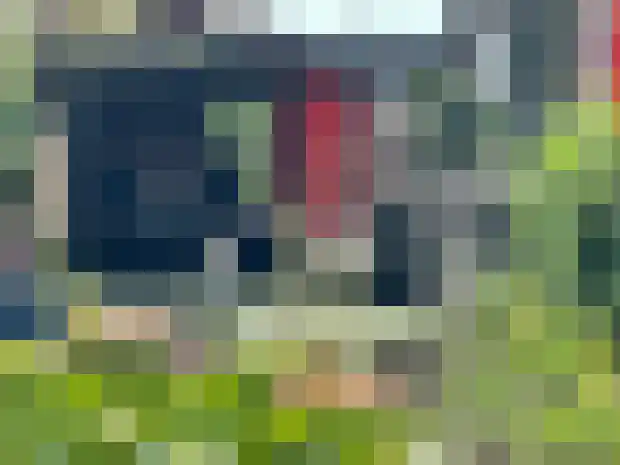 Woudsedijk-Zuid 2 a Woubrugge thumbnail 30