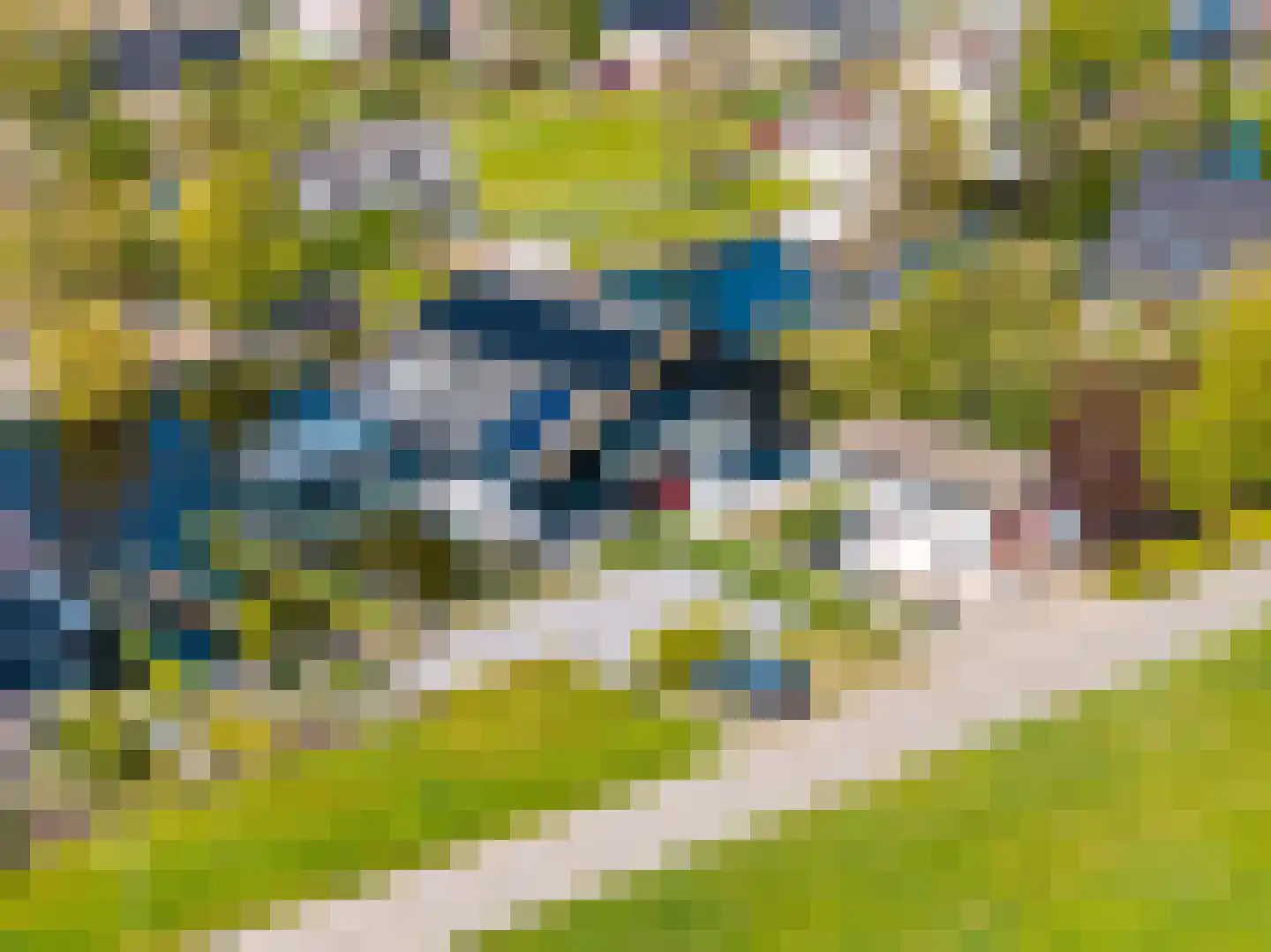 Woudsedijk-Zuid 2 a Woubrugge thumbnail 5