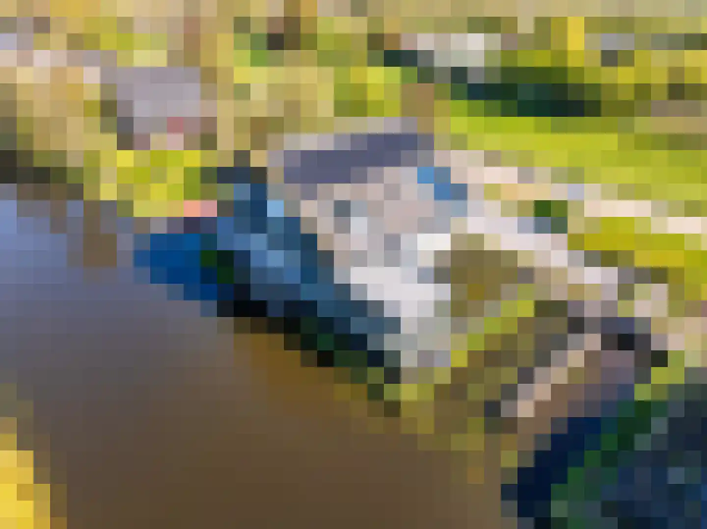 Woudsedijk-Zuid 2 a Woubrugge thumbnail 6
