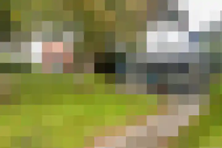 Woudselaan 55 Den Hoorn thumbnail 32