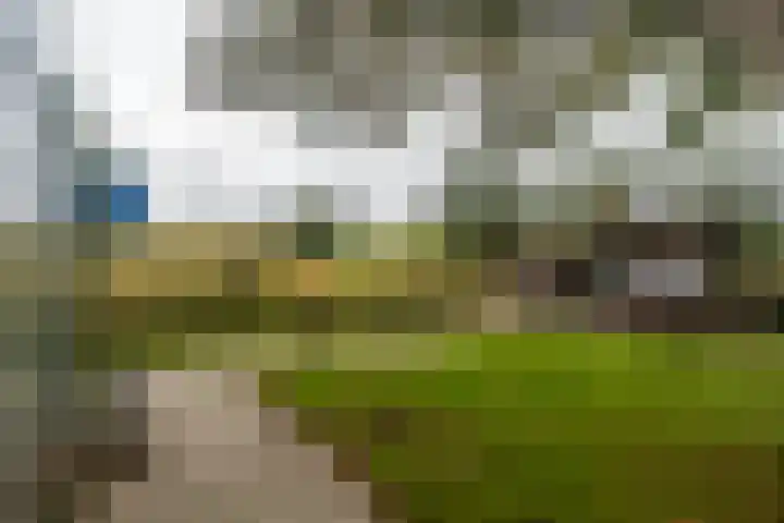 Woudselaan 55 Den Hoorn thumbnail 34