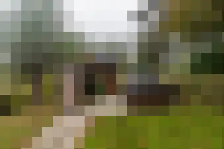 Woudselaan 55 Den Hoorn thumbnail 35