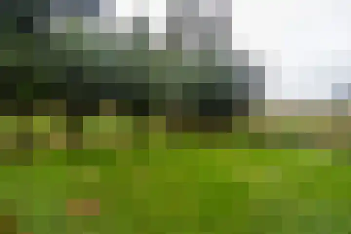 Woudselaan 55 Den Hoorn thumbnail 36