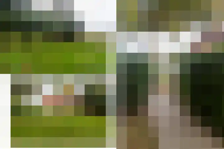 Woudselaan 55 Den Hoorn thumbnail 37