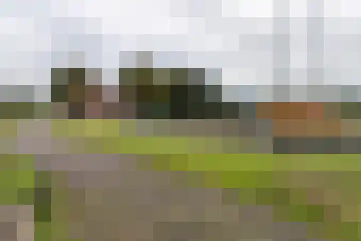 Woudselaan 55 Den Hoorn thumbnail 42