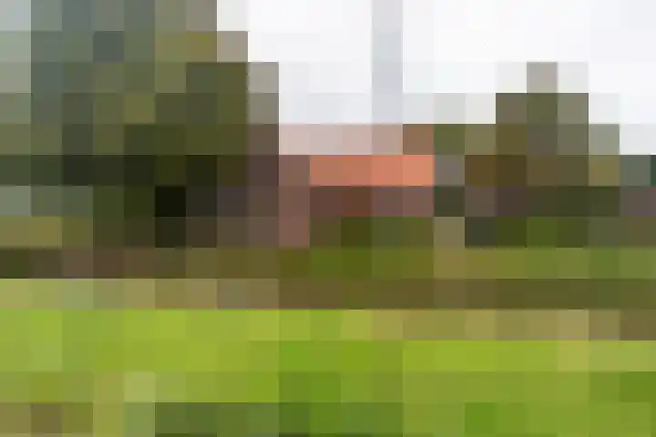 Woudselaan 55 Den Hoorn thumbnail 43
