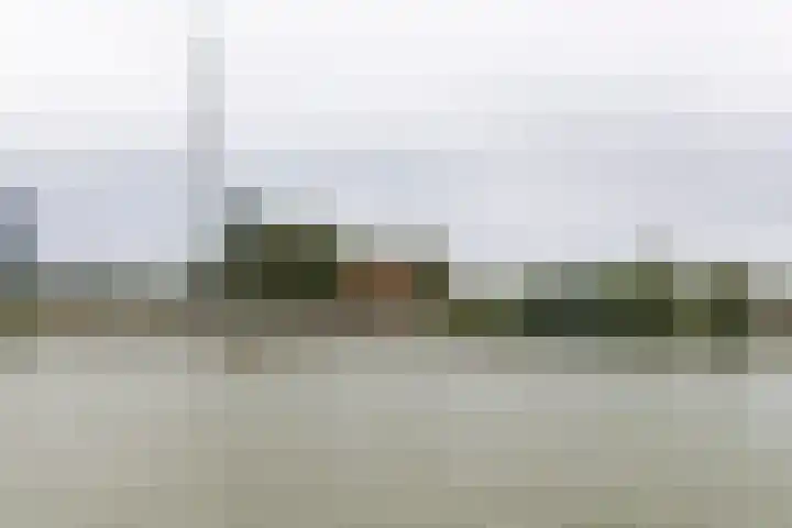 Woudselaan 55 Den Hoorn thumbnail 44