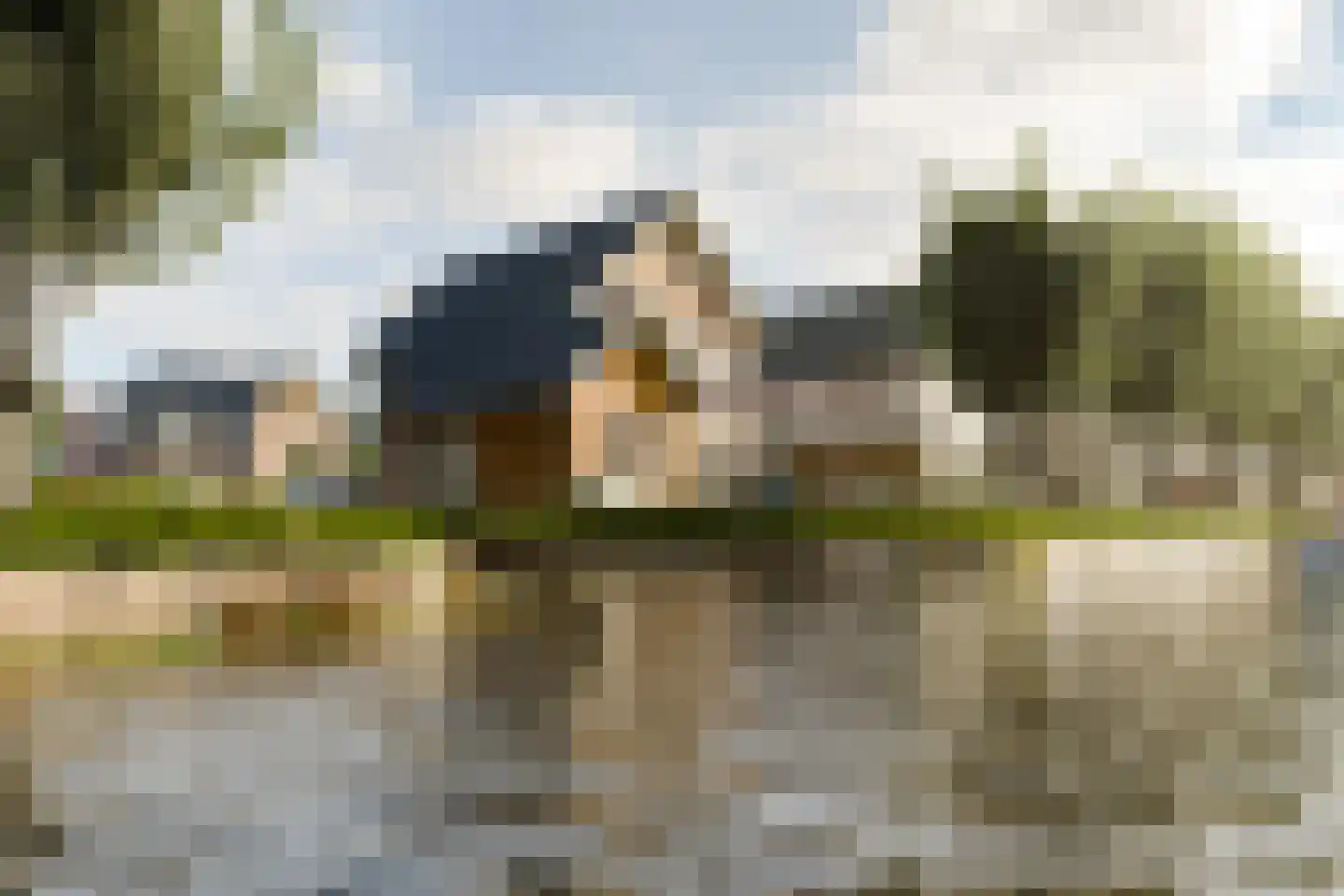Woudselaan 8 Den Hoorn foto 2
