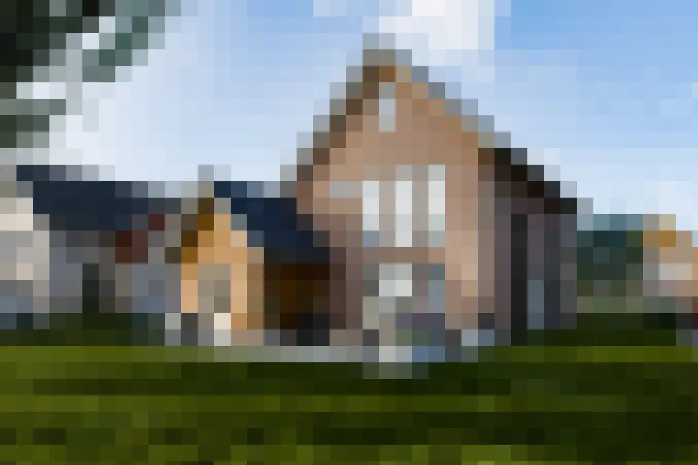 Woudselaan 8 Den Hoorn foto 2