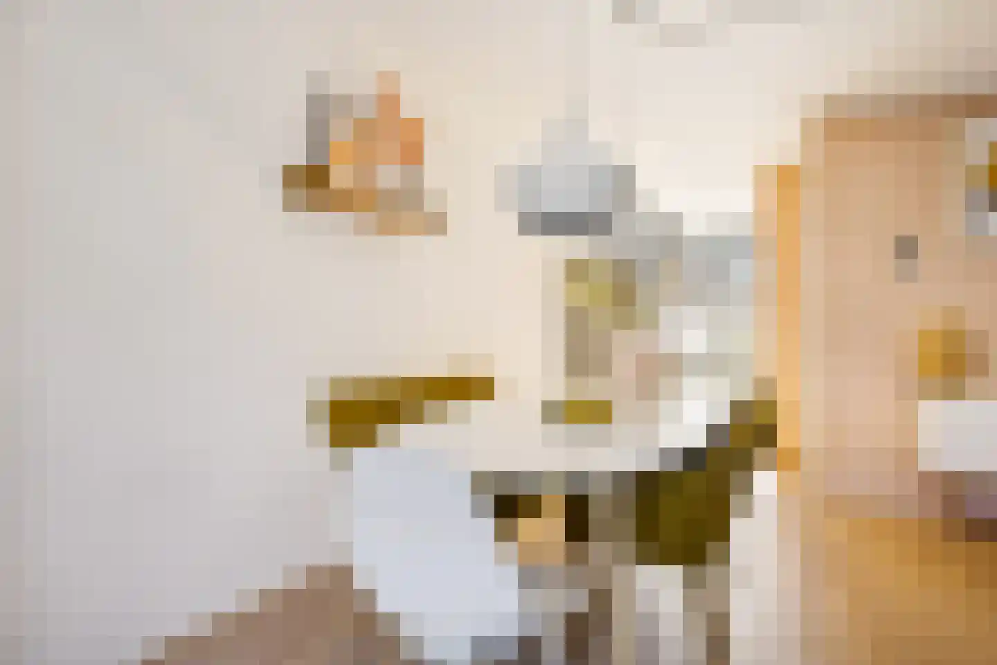 Woudsenderraklaan 260 Utrecht thumbnail 15