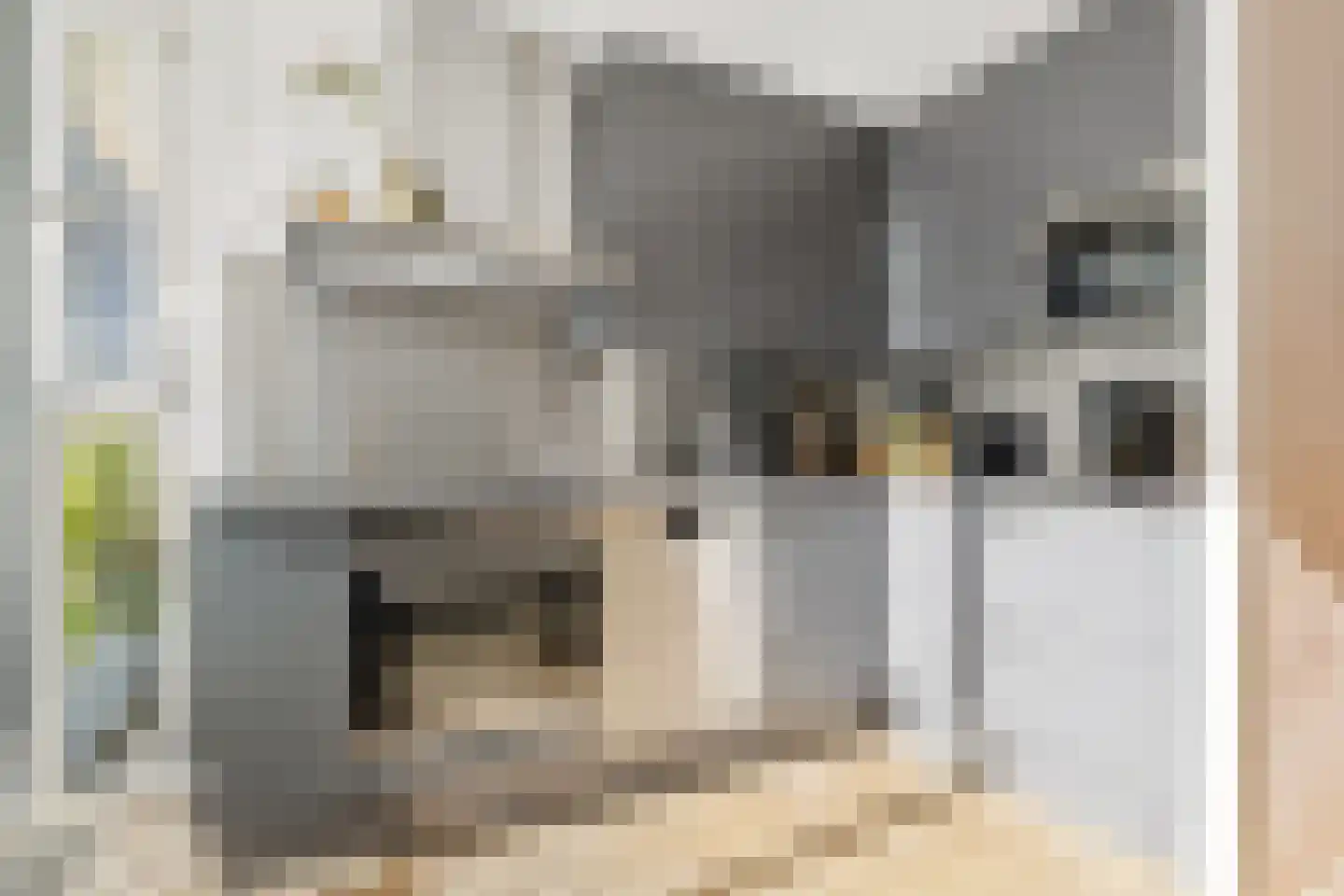Woudsenderraklaan 260 Utrecht thumbnail 18