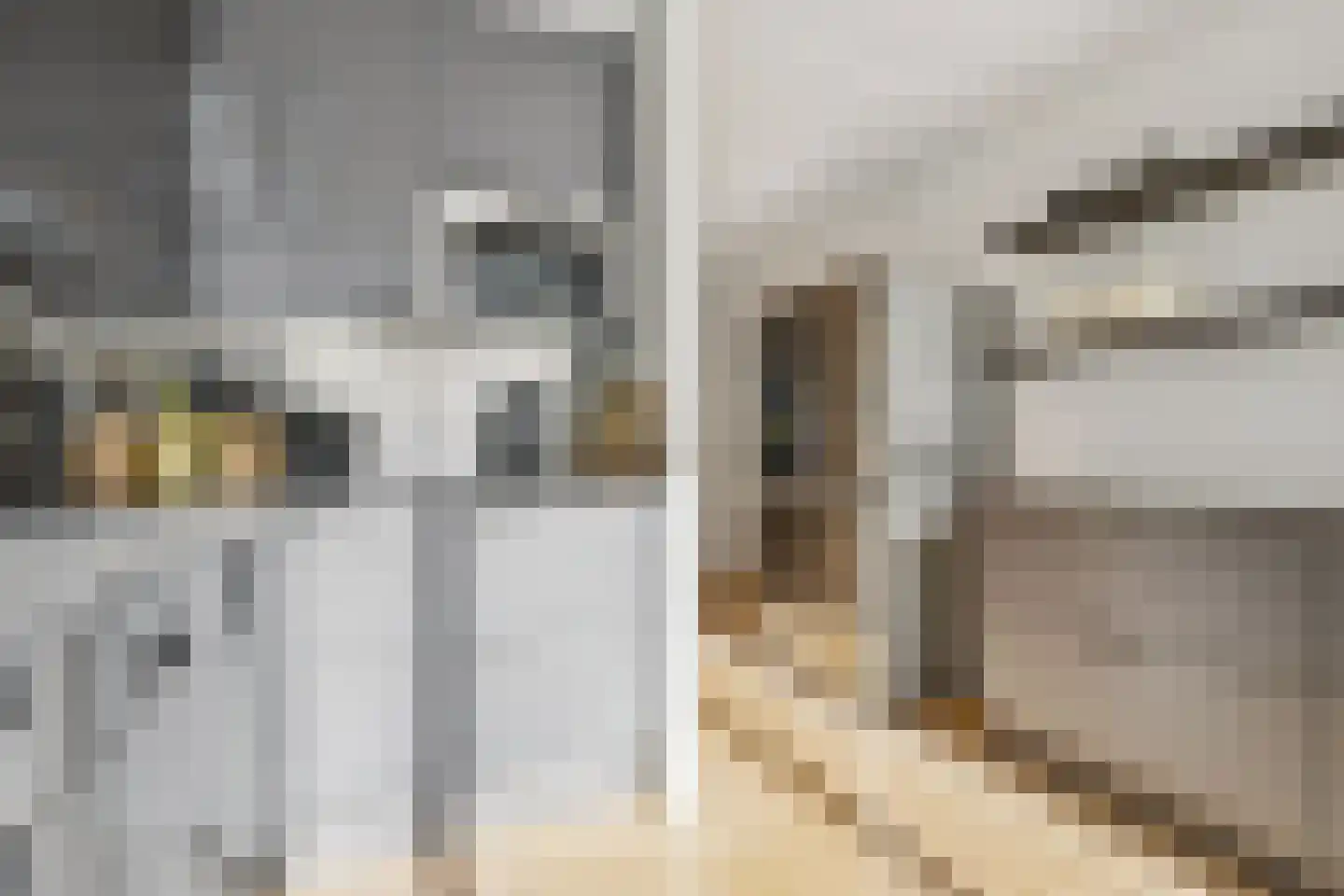 Woudsenderraklaan 260 Utrecht thumbnail 19