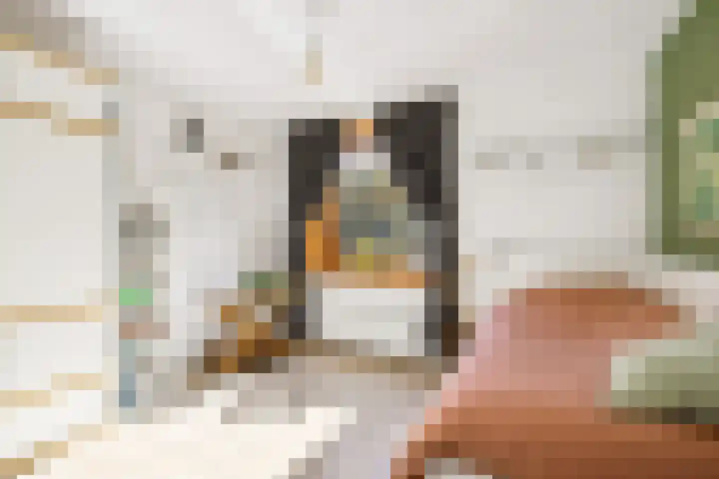 Woudsenderraklaan 260 Utrecht thumbnail 22