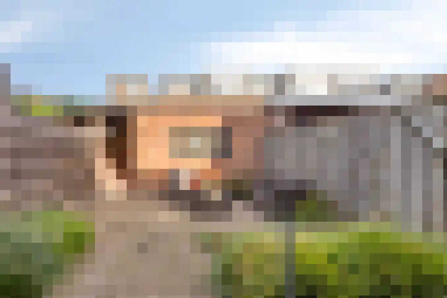 Woudseweg 100 Den Hoorn thumbnail 18