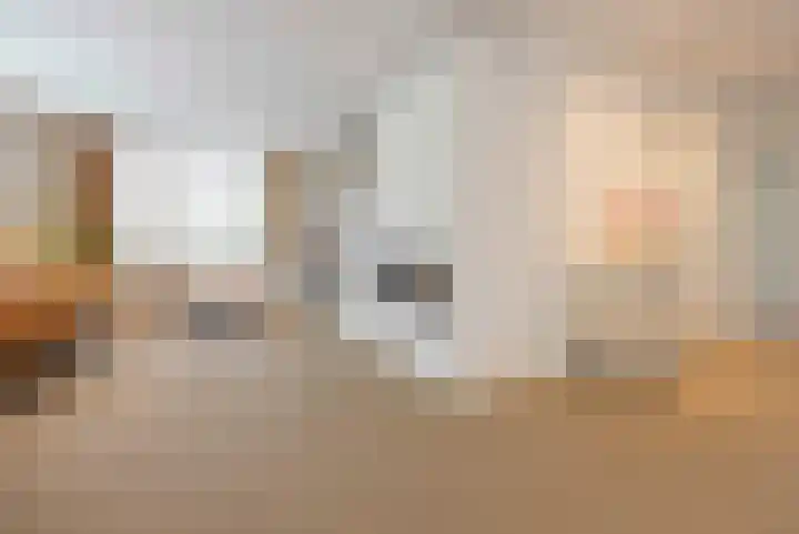 Woudseweg 19 Den Dungen thumbnail 11