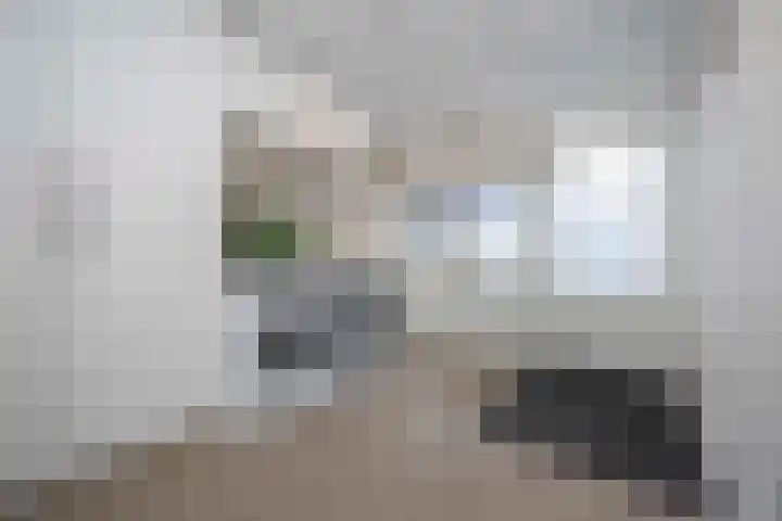 Woudseweg 19 Den Dungen thumbnail 15