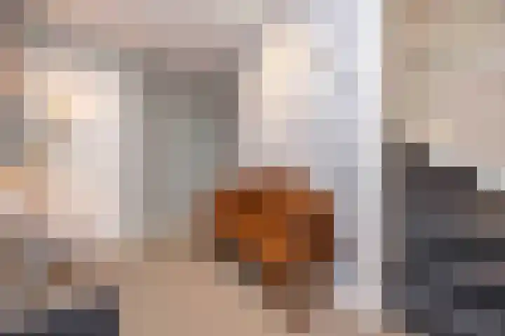 Woudseweg 19 Den Dungen thumbnail 16