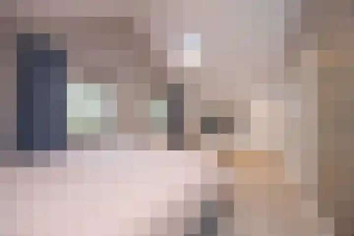 Woudseweg 19 Den Dungen thumbnail 18