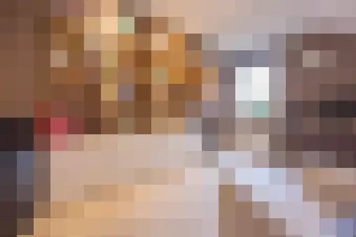 Woudseweg 19 Den Dungen thumbnail 19