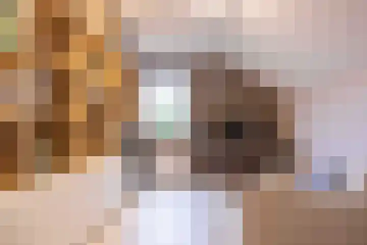 Woudseweg 19 Den Dungen thumbnail 20