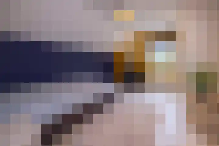 Woudseweg 19 Den Dungen thumbnail 21