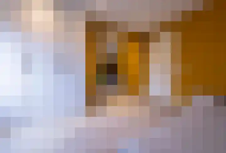 Woudseweg 19 Den Dungen thumbnail 22