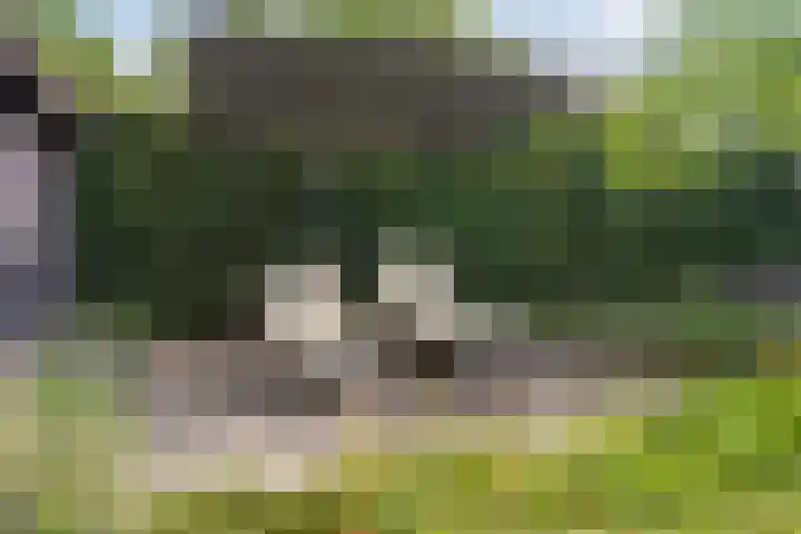 Woudseweg 19 Den Dungen thumbnail 28