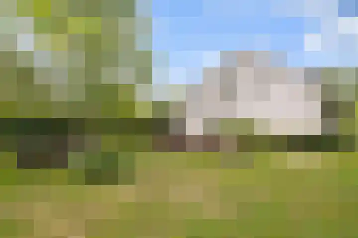 Woudseweg 19 Den Dungen thumbnail 29